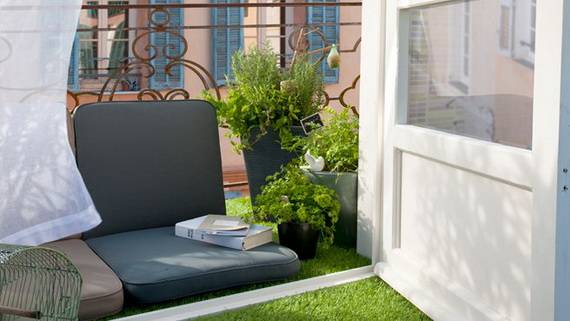 5 plante ideale pentru balcon și terasă (1)