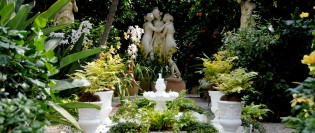 5 idei pentru decorarea gradinii