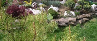 gradina de peste 1000 mp