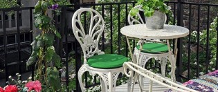 5 plante ideale pentru balcon și terasă