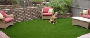 8 pași către un gazon perfect