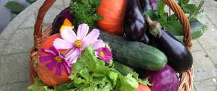 Vrei să mănânci cât mai curat Iată de unde poți face cumpărături bio