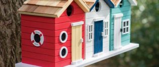 21546 - 4 pași simpli către o viață mai sustenabilă