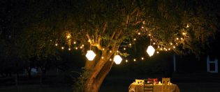 21598 - secrete care îți vor asigura o curte perfectă