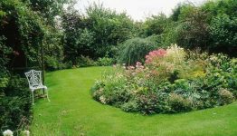 4 moduri naturale prin care îți poți scăpa grădina de afide