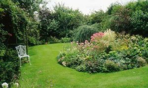 4 moduri naturale prin care îți poți scăpa grădina de afide